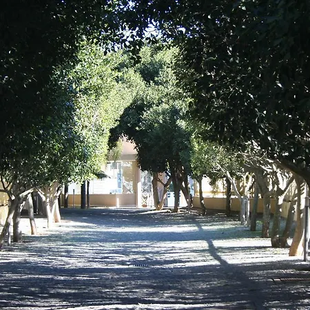 Barracuda Style Albufeira