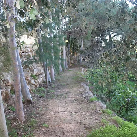 Barracuda Style Appartamento *