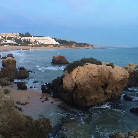 Barracuda Style 公寓 *