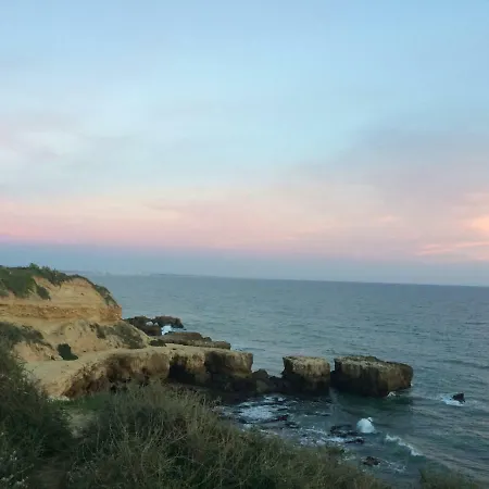 公寓 Barracuda Style