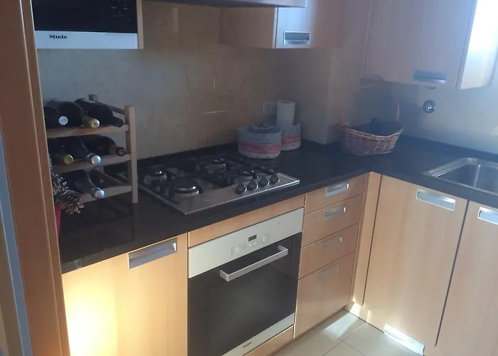 Barracuda Style 阿尔布费拉