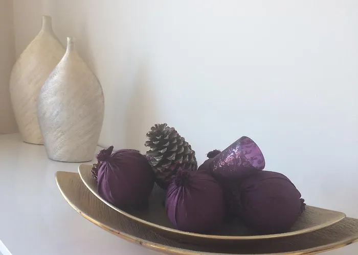 Barracuda Style * 阿尔布费拉