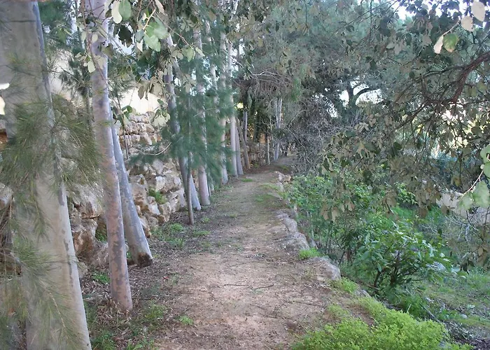 Barracuda Style 公寓 *