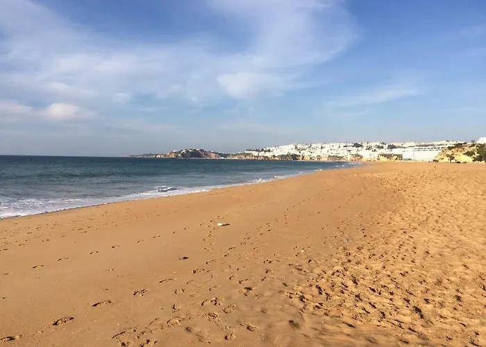 Barracuda Style 公寓 *