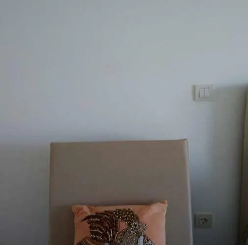 Barracuda Style * 阿尔布费拉