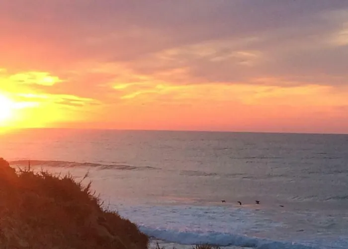 Barracuda Style 公寓 *