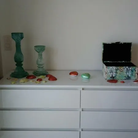 Apartment Barracuda Style