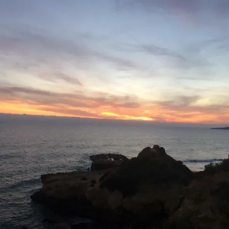 Barracuda Style Апартаменти *