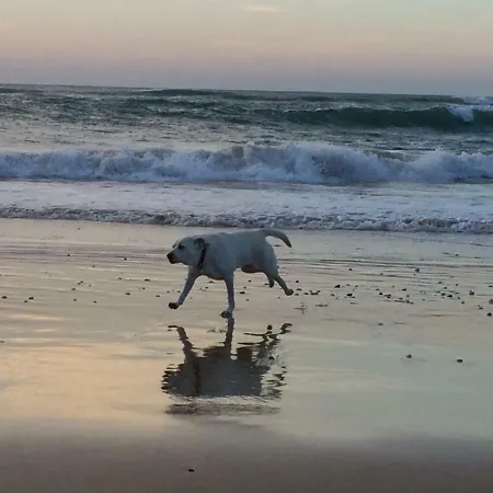 Barracuda Style * Albufeira