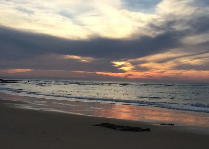 Barracuda Style Апартаменти