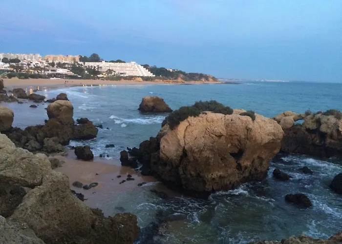 Barracuda Style Апартаменти *