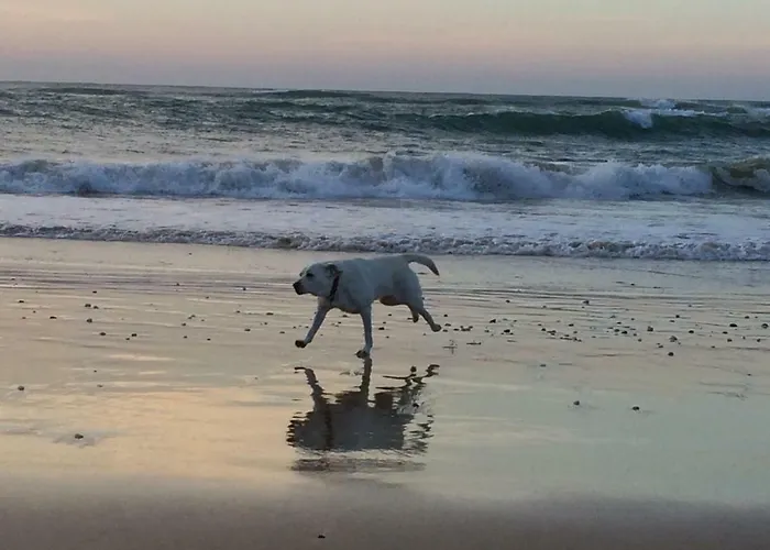 Barracuda Style * Албуфейра